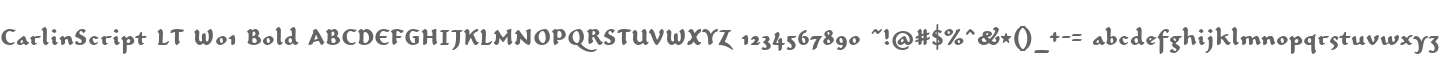CarlinScript LT W01 Bold