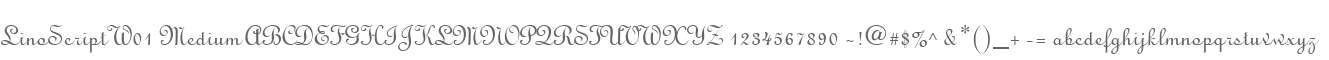 LinoScript W01 Medium