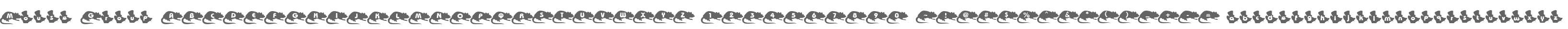 Mouse Group