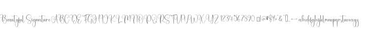 Beautyful Signature
