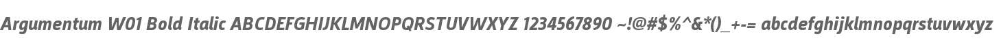 Argumentum W01 Bold Italic