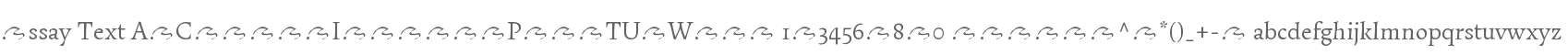 Essay Text