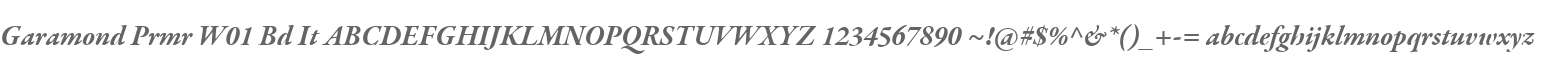 Garamond Prmr W01 Bd It