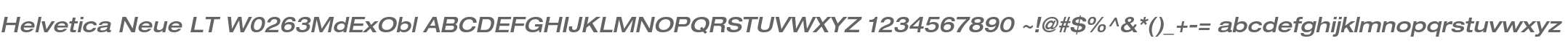 Helvetica Neue LT W0263MdExObl