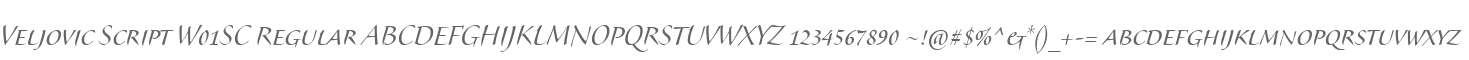 Veljovic Script W01SC Regular