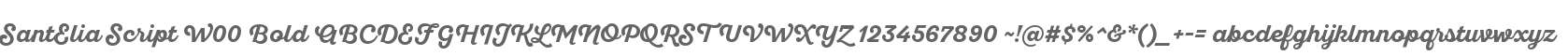 SantElia Script W00 Bold