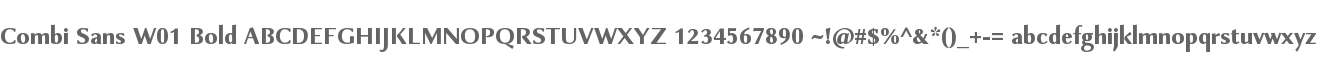 Combi Sans W01 Bold