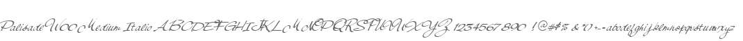 Palisade W00 Medium Italic