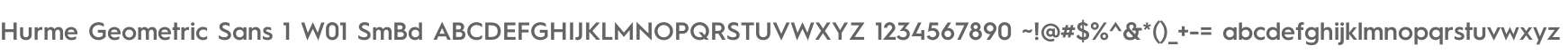 Hurme Geometric Sans 1 W01 SmBd