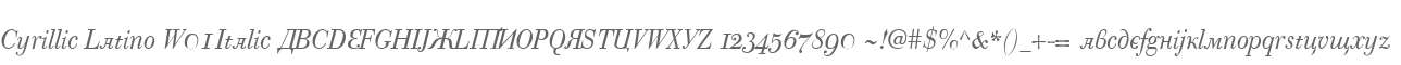 Cyrillic Latino W01 Italic