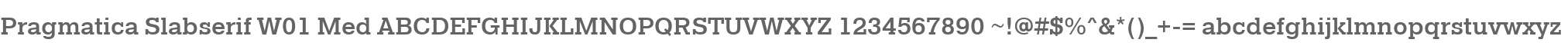 Pragmatica Slabserif W01 Med