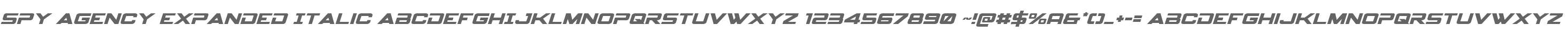 Spy Agency Expanded Italic