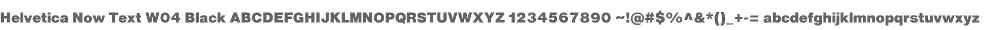 Helvetica Now Text W04 Black