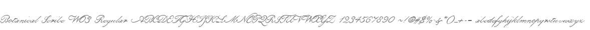 Botanical Scribe W03 Regular