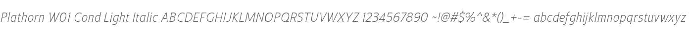 Plathorn W01 Cond Light Italic