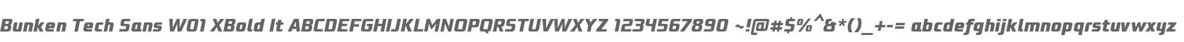 Bunken Tech Sans W01 XBold It