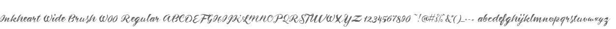 Inkheart Wide Brush W00 Regular