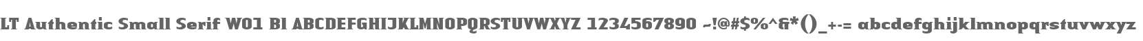 LT Authentic Small Serif W01 Bl