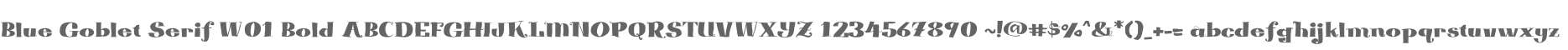 Blue Goblet Serif W01 Bold