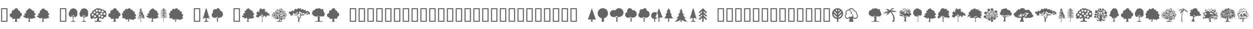 Tree Assortment W95 Regular