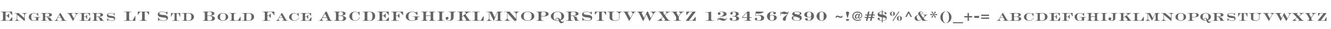 Engravers LT Std Bold Face