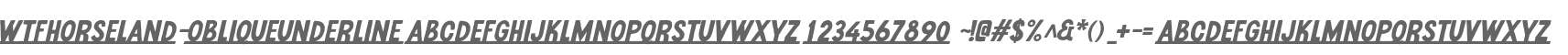 Wtf Horseland Oblique Underline