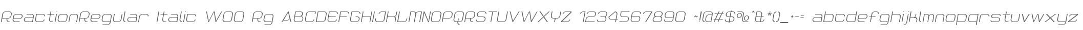 ReactionRegular Italic W00 Rg