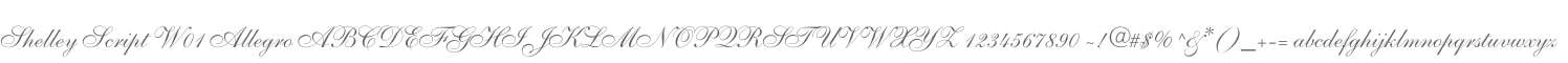 Shelley Script W01 Allegro