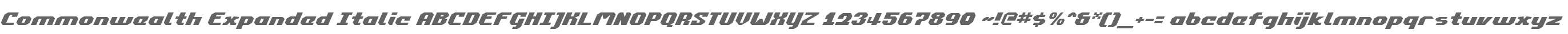 Commonwealth Expanded Italic