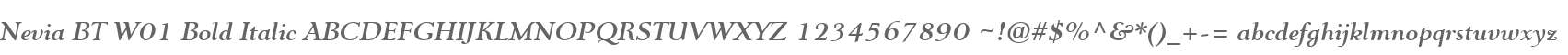 Nevia BT W01 Bold Italic