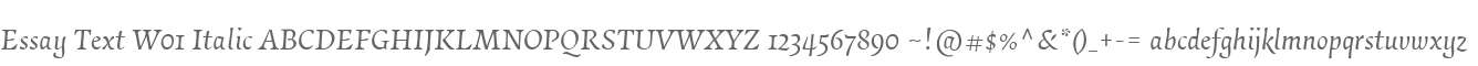 Essay Text W01 Italic