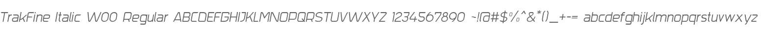 TrakFine Italic W00 Regular