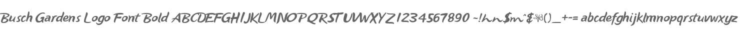Busch Gardens Logo Font Bold
