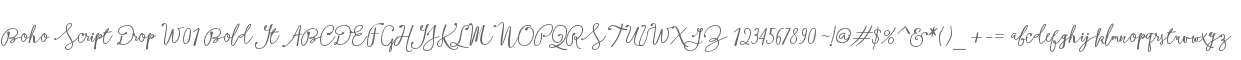 Boho Script Drop W01 Bold It