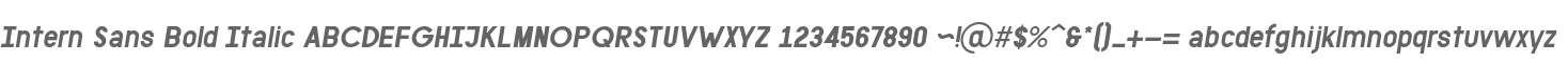 Intern Sans Bold Italic