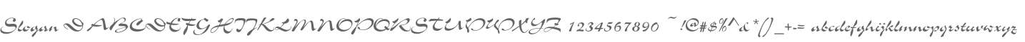 Slogan D
