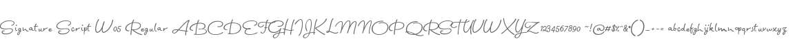 Signature Script W05 Regular
