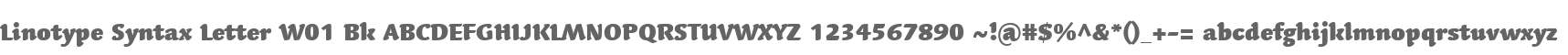 Linotype Syntax Letter W01 Bk