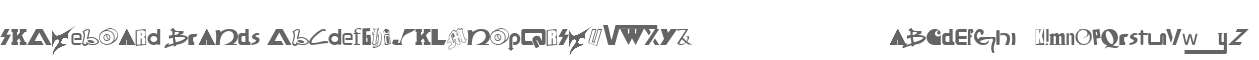 SKATEBOaRD braNds