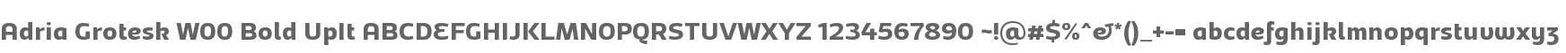 Adria Grotesk W00 Bold UpIt