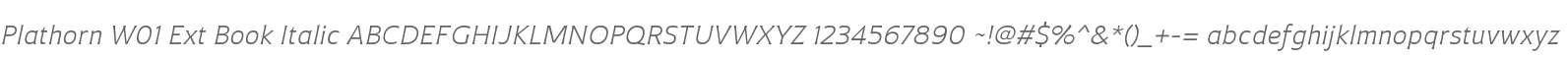 Plathorn W01 Ext Book Italic