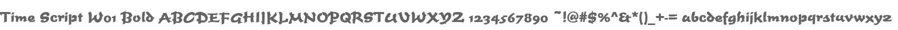 Time Script W01 Bold