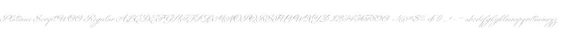 Platinus Script W00 Regular