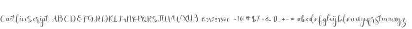 Caitlin Script