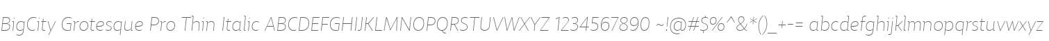 BigCity Grotesque Pro Thin Italic
