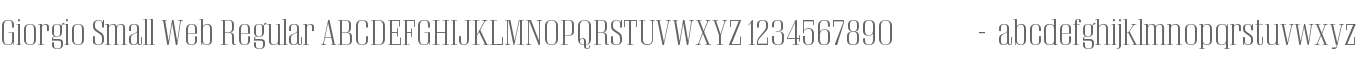 Giorgio Small Web Regular