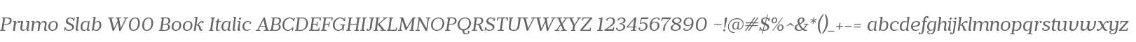 Prumo Slab W00 Book Italic