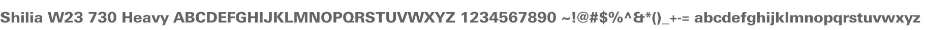 Shilia W23 730 Heavy