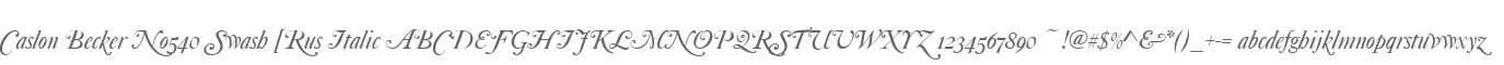 Caslon Becker No540 Swash [Rus