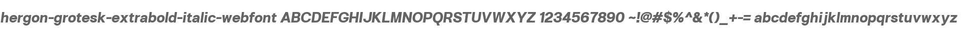hergon-grotesk-extrabold-italic-webfont